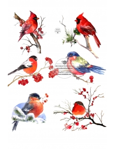Birds in winter, edible image