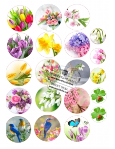 Picture edible flowers