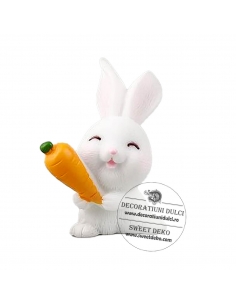 Mini bunny with carrot...