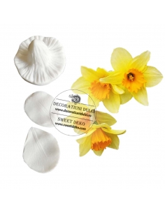 Narcissus Mold, Petal Veiner