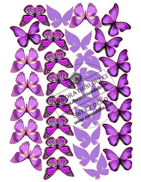 Papillons violets