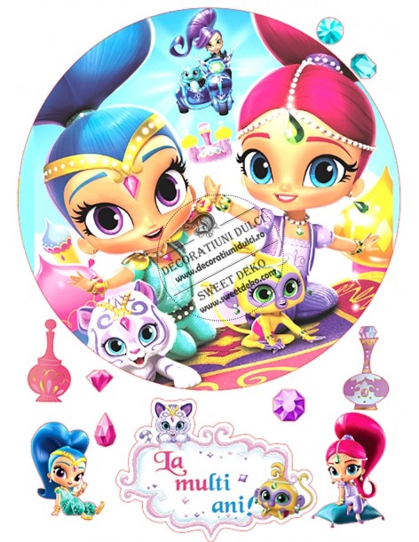 Shimmer and shine amici