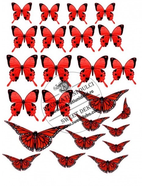 Imagen mariposas rojas...